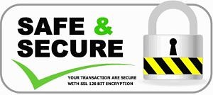 SafeSecureLogo